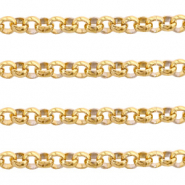 Appr&ecirc;ts en acier inox cha&icirc;ne maille jaseron 2mm Dor&eacute;
