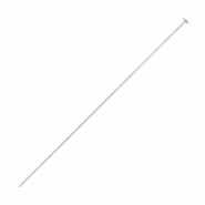 Appr&ecirc;ts en acier inox clou &agrave; t&ecirc;te plate 50mm Argent&eacute;