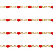 Appr&ecirc;ts en acier inox cha&icirc;ne maille jaseron 1mm&nbsp; Rouge samba-dor&eacute;