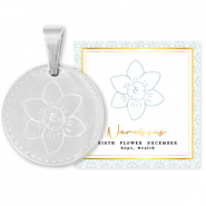 Mix & Match breloques en acier Inox 15mm Fleur de naissance D&eacute;cembre-Narcisse Argent&eacute;
