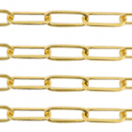 Appr&ecirc;ts en acier inox cha&icirc;ne maille jaseron maillons Dor&eacute;