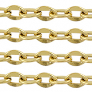 Appr&ecirc;ts en acier inox cha&icirc;ne maille jaseron maillons Dor&eacute;