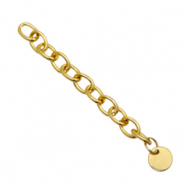 Appr&ecirc;ts en acier inox cha&icirc;nette d'extension m&eacute;daillon rond 8mm Dor&eacute;
