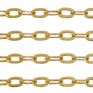 Appr&ecirc;ts en acier Inox cha&icirc;ne maille jaseron maille for&ccedil;at Dor&eacute;