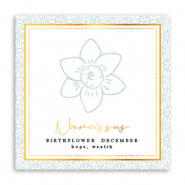 Cartes &agrave; bijoux Fleur de naissance D&eacute;cembre-Narcisse Gris verd&acirc;tre