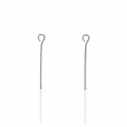 Appr&ecirc;ts en acier Inox clou &agrave; t&ecirc;te ronde 30mm Argent&eacute;