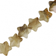 Pierres naturelles &eacute;toile Beige