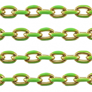 Appr&ecirc;ts en acier Inox cha&icirc;ne maille jaseron maille for&ccedil;at Dor&eacute;-vert