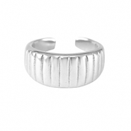 Bagues en acier Inox Argent&eacute;