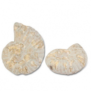 Perles en c&eacute;ramique DQ grecque coquille Blanc-marron clair-dor&eacute;