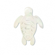 Perles coquillage tortue Blanc (couleur naturelle)
