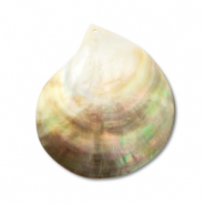 Pendentifs coquillage nacr&eacute; Blanc (couleur naturelle)-marron clair-marron fonc&eacute;