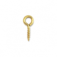 Appr&ecirc;ts en acier Inox vis avec boucle Dor&eacute;