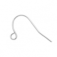 Appr&ecirc;ts en acier inox boucles d'oreilles crochet avec anneau Argent&eacute;