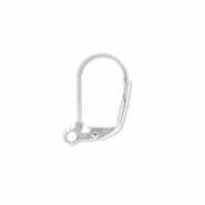 Appr&ecirc;ts en acier Inox boucles d'oreilles dormeuses avec anneau Argent&eacute;