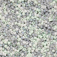Perles de rocailles Miyuki 11/0 Nordic Mist