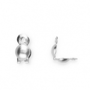 Appr&ecirc;ts en acier Inox calottes 2 mm Argent&eacute;