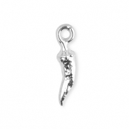Breloques en acier Inox piment Argent&eacute;