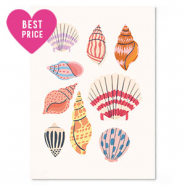 Cartes &agrave; bijoux coquille Multicolore