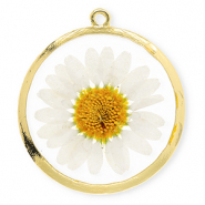Pendentifs avec fleurs s&eacute;ch&eacute;es 34 mm Dor&eacute;-blanc-orange doux