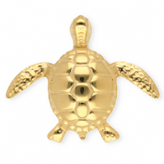 Broches accroche-regard en acier inox tortue Doré