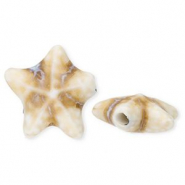 Perles en céramique étoile de mer Blanc cassé-marron clair
