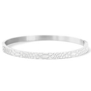 Bracelets en acier inox serpent Argent&eacute;