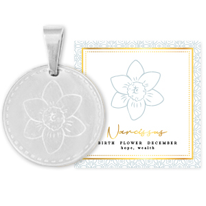 Mix & Match breloques en acier Inox 15mm Fleur de naissance D&eacute;cembre-Narcisse Argent&eacute;