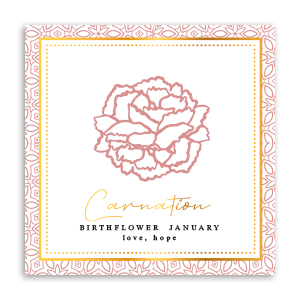 Cartes &agrave; bijoux Fleur de naissance Janvier-&OElig;illet Rouge