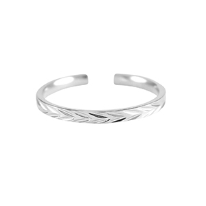 Bagues en acier Inox Argent&eacute;