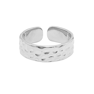 Bagues en acier Inox Argent&eacute;