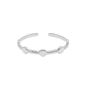 Bagues en acier Inox Argent&eacute;