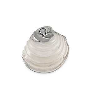 Pendentifs coquillage specials Moule Blanc cr&egrave;me-argent&eacute;
