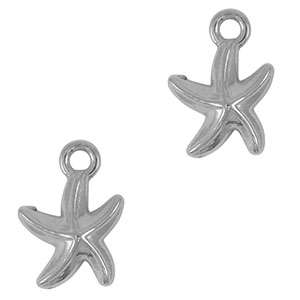 Breloques en acier Inox &eacute;toile de mer Argent&eacute;