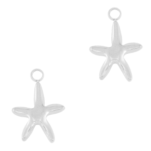 Breloques en acier Inox &eacute;toile de mer Argent&eacute;