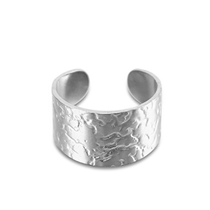 Bagues en acier Inox Argent&eacute;