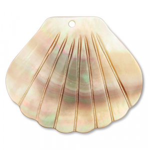 Pendentifs coquillage coquille saint-jacques Blanc (couleur naturelle)-marron