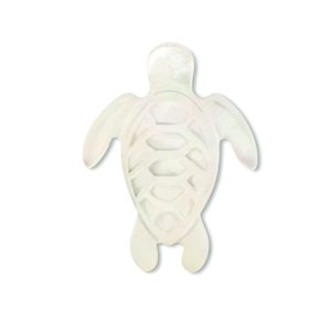 Perles coquillage tortue Blanc (couleur naturelle)