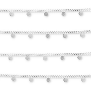 Appr&ecirc;ts en acier Inox cha&icirc;ne maille jaseron avec pi&egrave;ces de monnaie Argent&eacute;