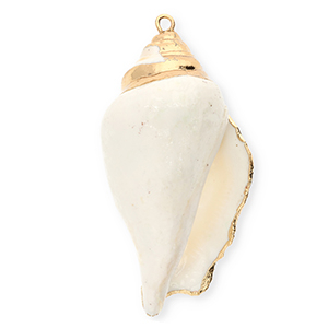 Pendentifs coquillage specials buccin Blanc-dor&eacute;