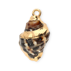 Pendentifs coquillage specials buccin Marron-dor&eacute;