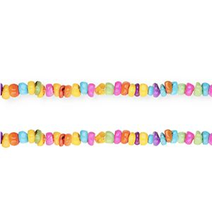Perles coquillage disque Multicolore