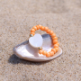 Confection de bijoux d&rsquo;&eacute;t&eacute; tendance avec des perles coquillage, des perles en verre et bien d&rsquo;autres &eacute;l&eacute;ments fun ! 
